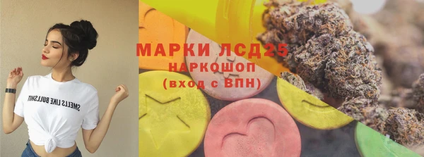 ПСИЛОЦИБИНОВЫЕ ГРИБЫ Алексеевка