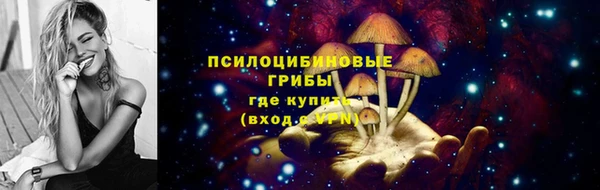 герыч Алексин